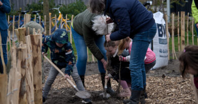 Oproep PvdA, D66 en GroenLinks: meer groene schoolpleinen in Hoogeveen