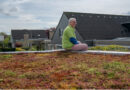 Henny Hauschilds duurzame keuze: Groen dak in Hoogeveen