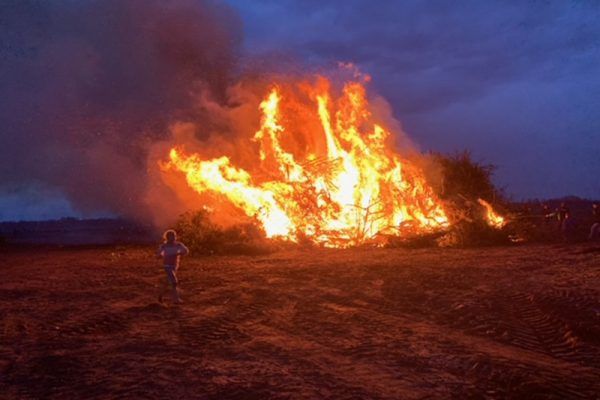 Gruwelijk dikke paasbult in Tiendeveen: maar er kan nog wel wat snoeiafval bij