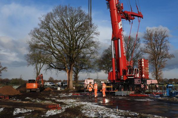Oude eik Hollandscheveld succesvol verplaatst
