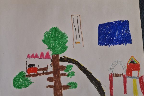 Kay wil graag een groener schoolplein: en jij kan hem er mee helpen