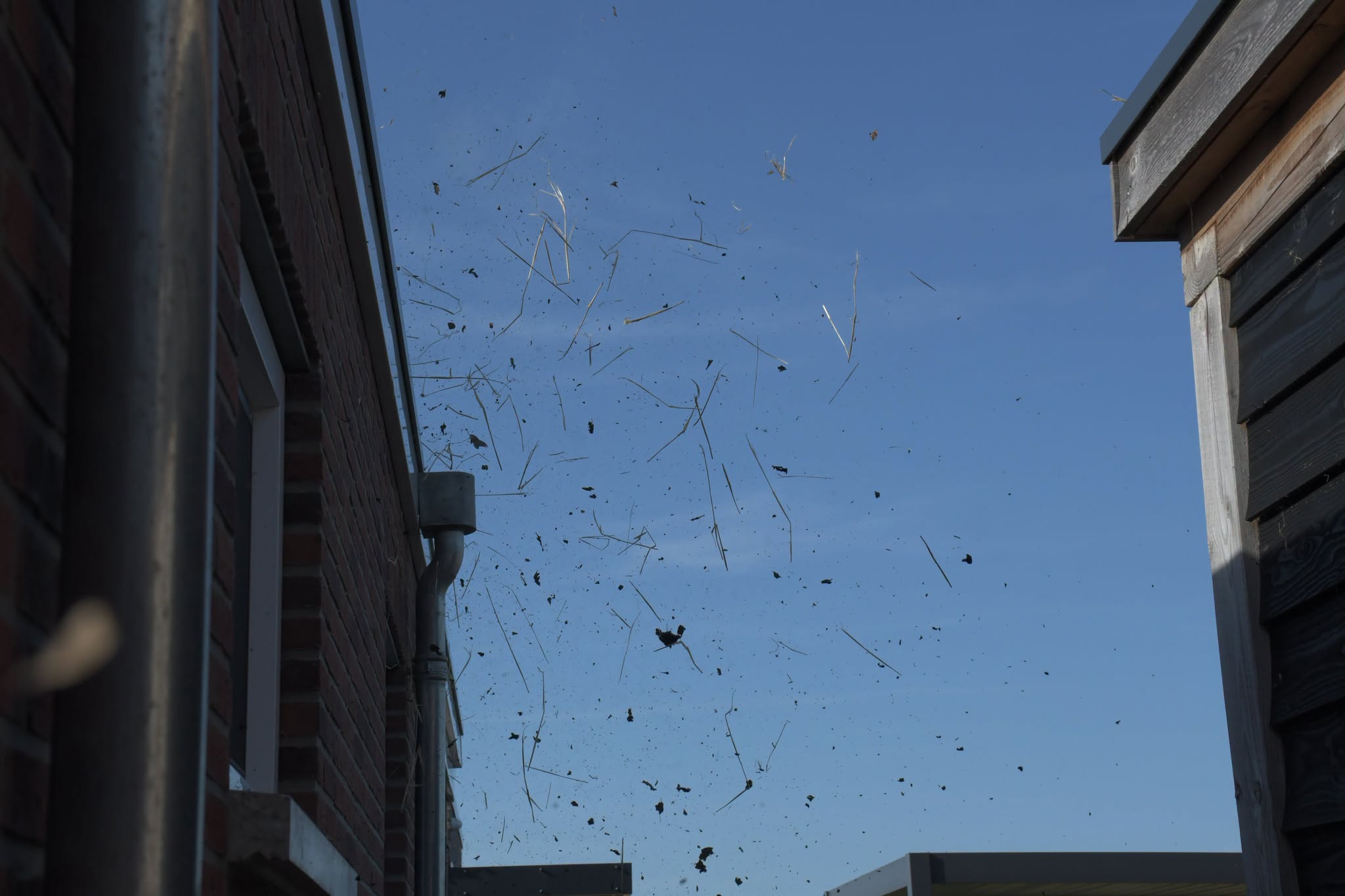 Klein windhoosje zorgt voor veel rommel in Nieuwlande